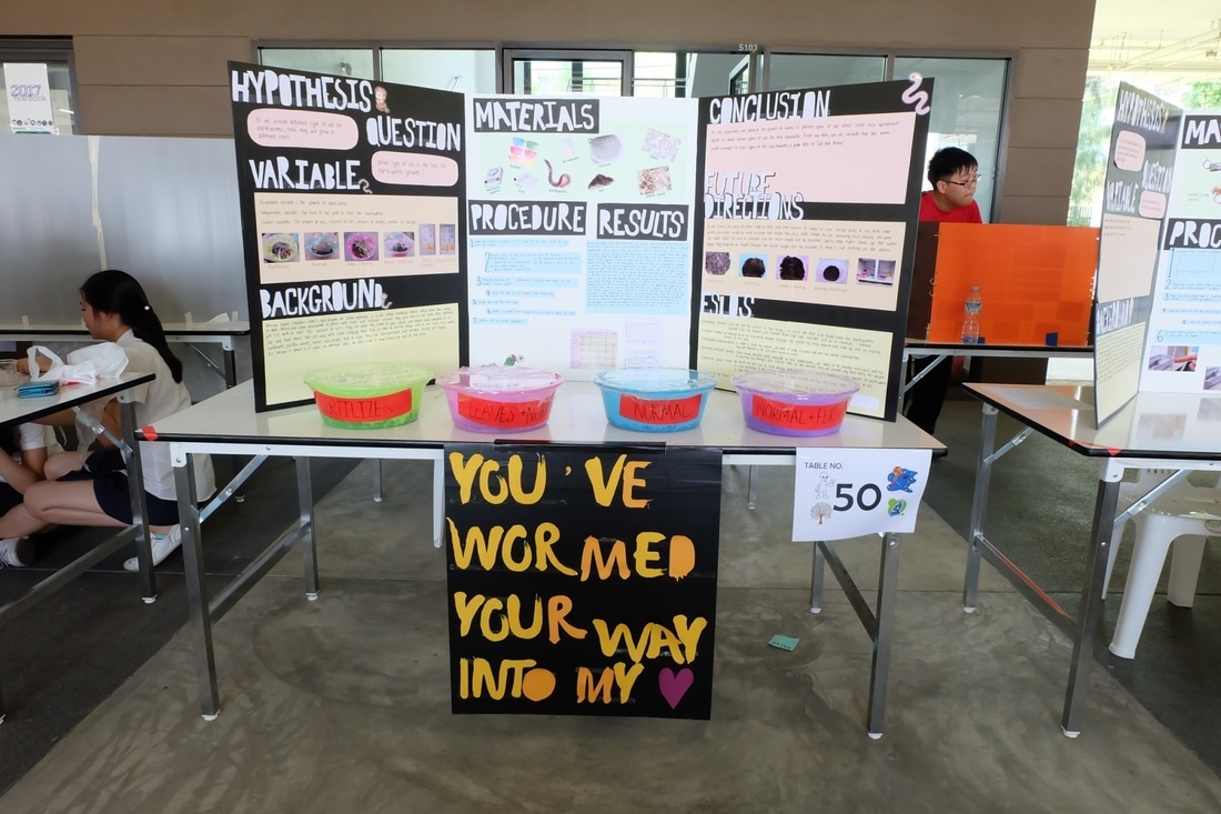 physics science fair projects grade 12